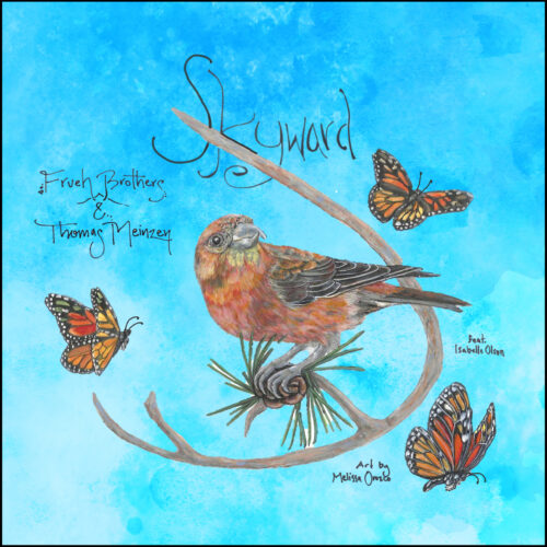 skywardep cover